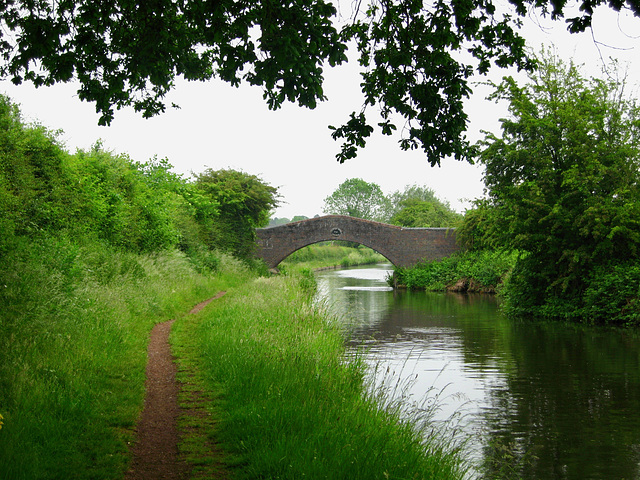 Castlecroft Bridge over the Staffordshire and Worcestershire Canal