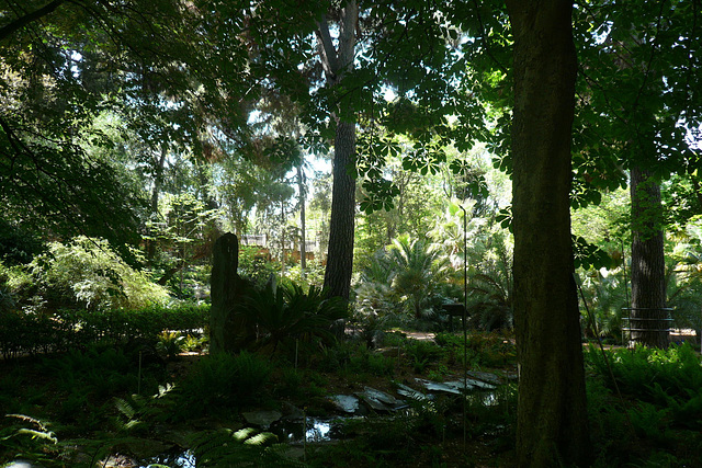 Royal Botanic Gardens