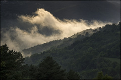 La boira es vesteix de llum