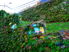 Two Fences