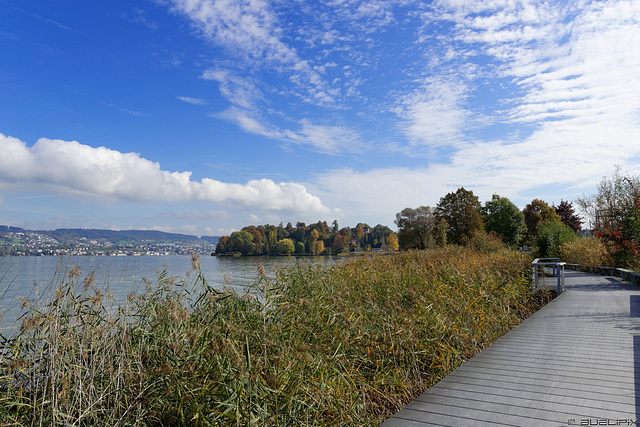 Seeweg zwischen Käpfnach und der Halbinsel Au (© Buelipix)