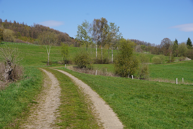 Frühlingshafter Wanderweg