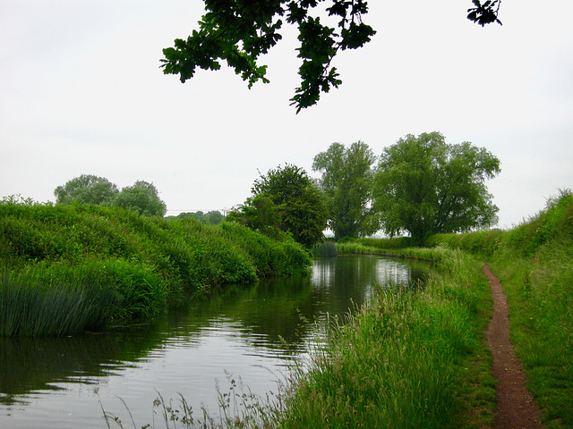 Staffordshire and Worcestershire Canal near Castlecroft Bridge