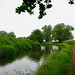 Staffordshire and Worcestershire Canal near Castlecroft Bridge