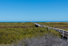 One Mile Jetty