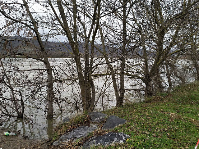 Pas content le Rhône en bordure de la Viarhona