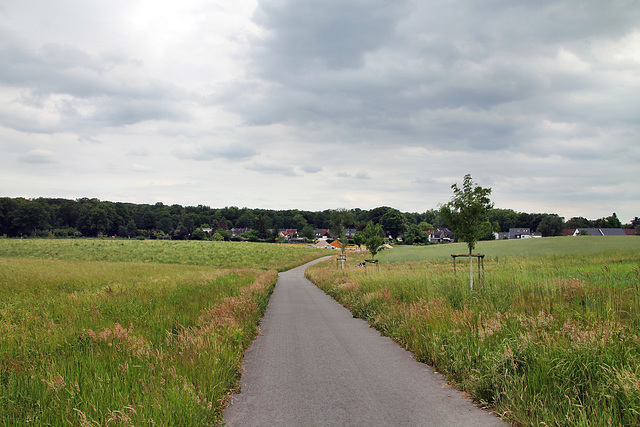 Glückauf-Park auf dem ehem. Gelände der Kokerei Hassel (Gelsenkirchen-Hassel) / 26.05.2022