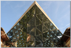 The Whale Balna, Budapest