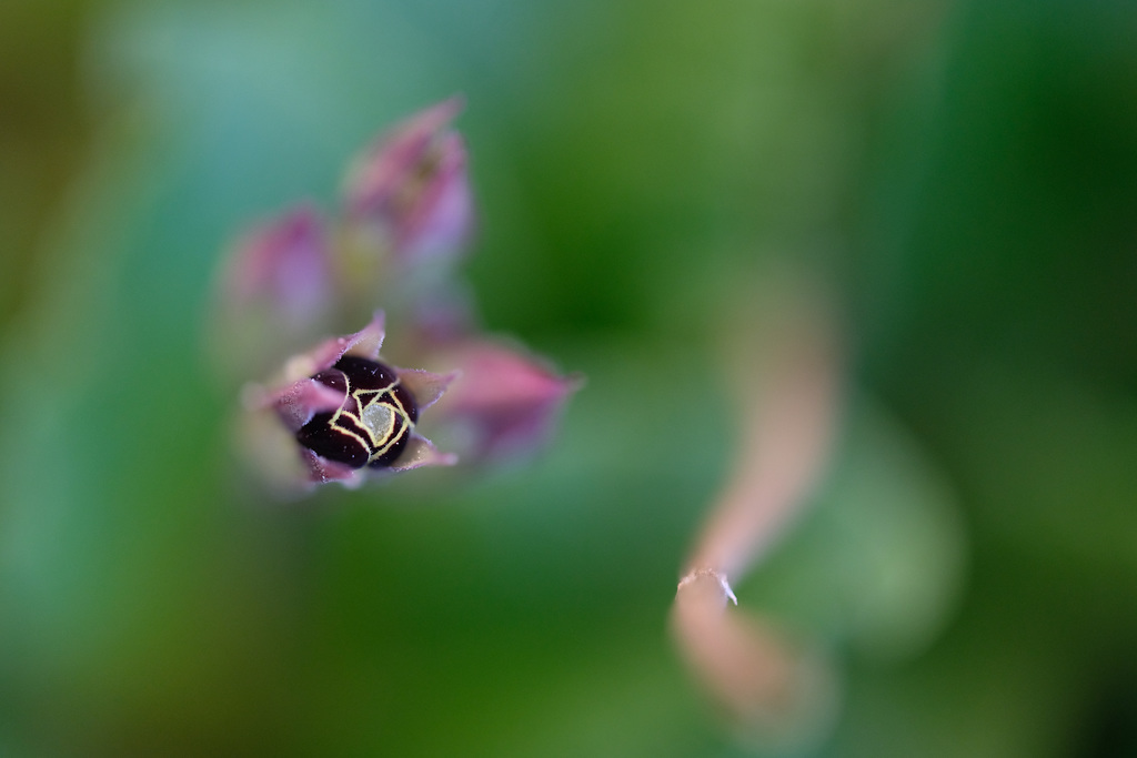 DSCF3886