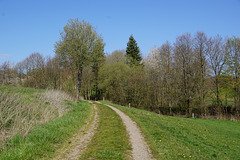 Wanderweg im Frühling