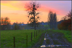 HFF-for everyone 30 april 2021  beside the mud path