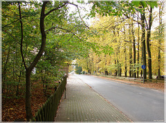 Oerrel - Kohlenbissener Straße