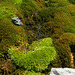 20220828 -11 Ubaye (Alpes de Haute Provence) (441)