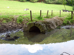 Mundloch des Kreßsieper Erbstollens (Sprockhövel) / 8.08.2012