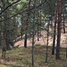 Słowiński Park Narodowy (11)
