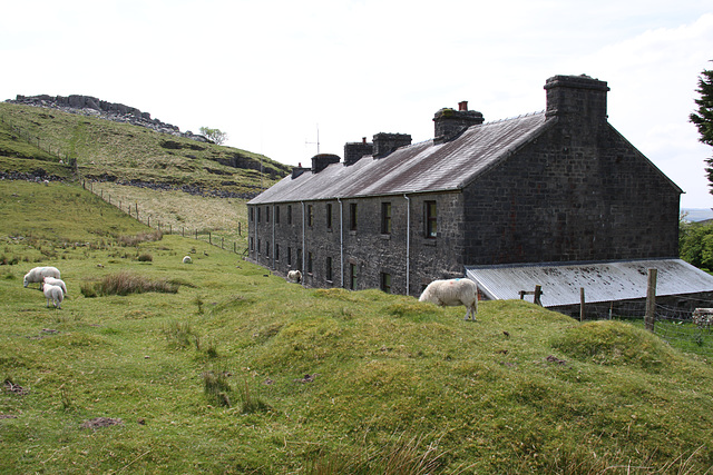 Surviving Cottages