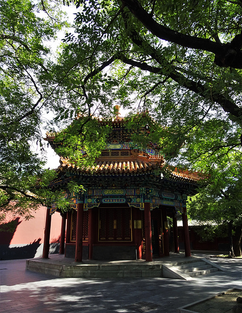 Lama Temple_5