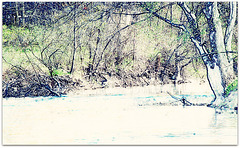 RIVER