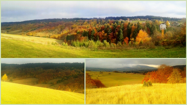 Collage of light and  colours of autumn
