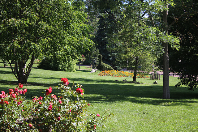 Au jardin Lecoq