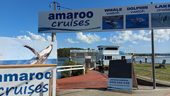 094/365 amaroo cruises