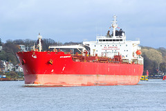 STI MEMPHIS STI MEMPHIS