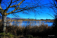 Lagunas de La Guardia