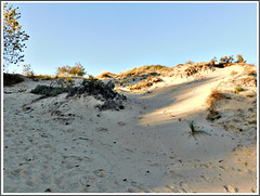 Dunes derrière le  village vacances Stella Maris