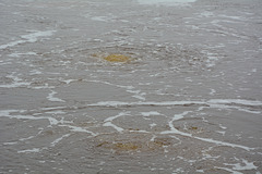 Ethiopia, Danakil Depression, Boiling Surface of the Gaet'ale Pond