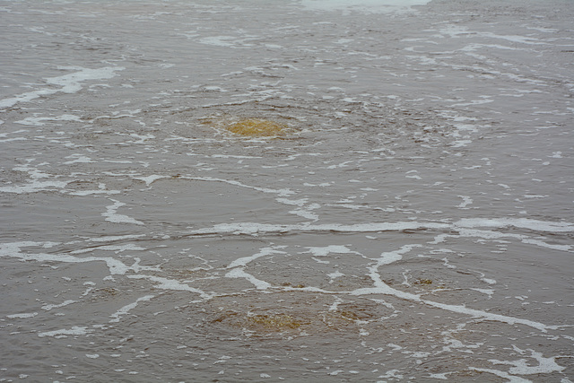 Ethiopia, Danakil Depression, Boiling Surface of the Gaet'ale Pond