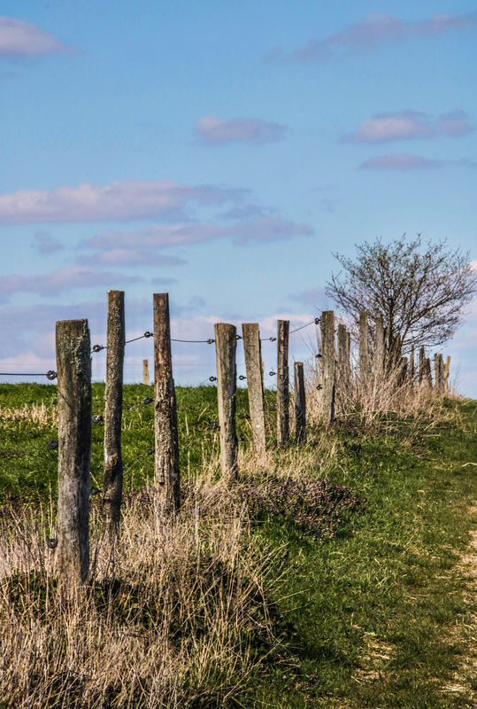 A Fence for Friday