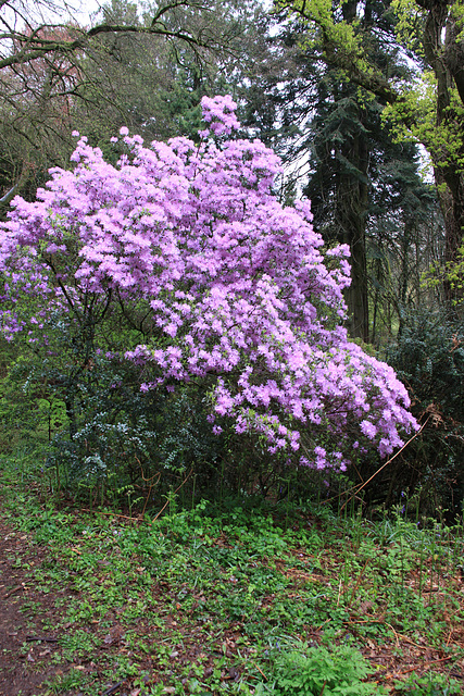 Cefn Onn Park