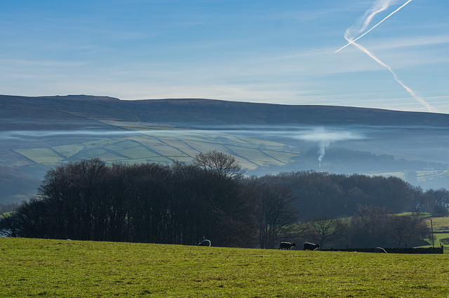 Smoke signals at Moorfield