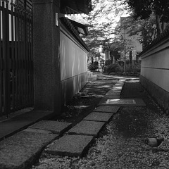 Path through the temple precinct