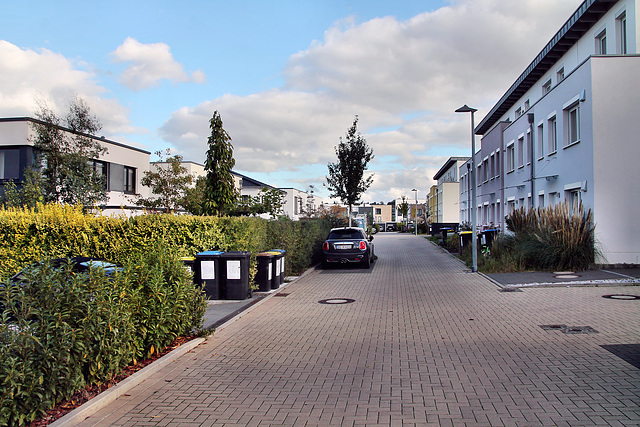 Schilfweg (Dortmund-Hörde) / 21.10.2023