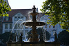 Kohlmarkt-Brunnen..... (PiP)