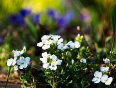 5D3 8962-FHD 5D3 8962-FHD