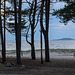 Schweden - Byrums Sandvik Schweden - Byrums Sandvik