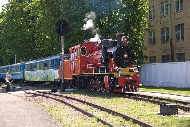 Der Zug fährt am Bahnhof Wyschenka ab