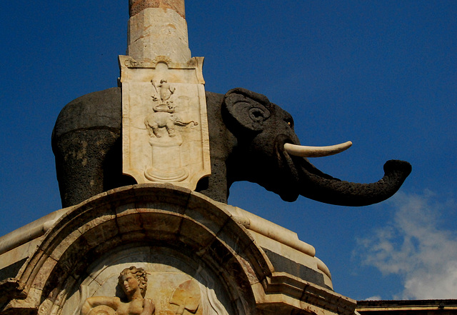 Elefant auf der Piazza Duomo