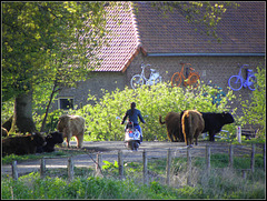 Between BycicleCows