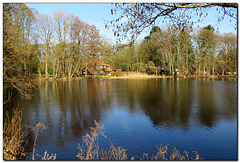 Wassermühle Lünzen, Mühlteich