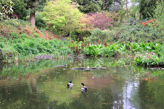 Cefn Onn Park