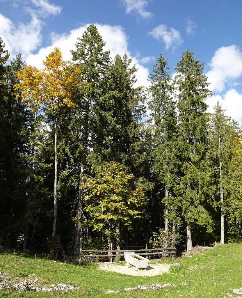 Brunnen auf einer Juraweide