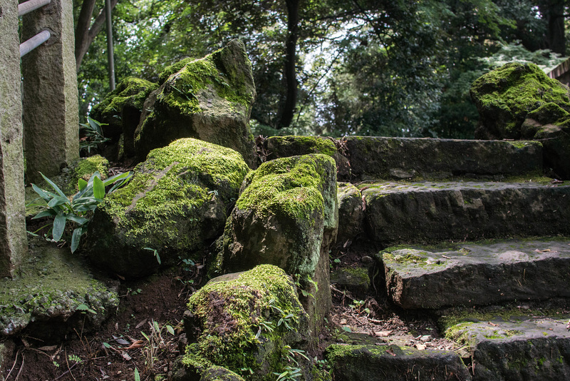 Stone steps