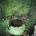 st non's well (30)