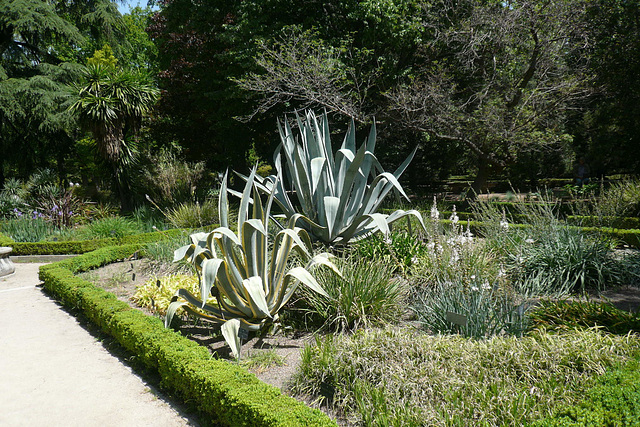 Royal Botanic Gardens