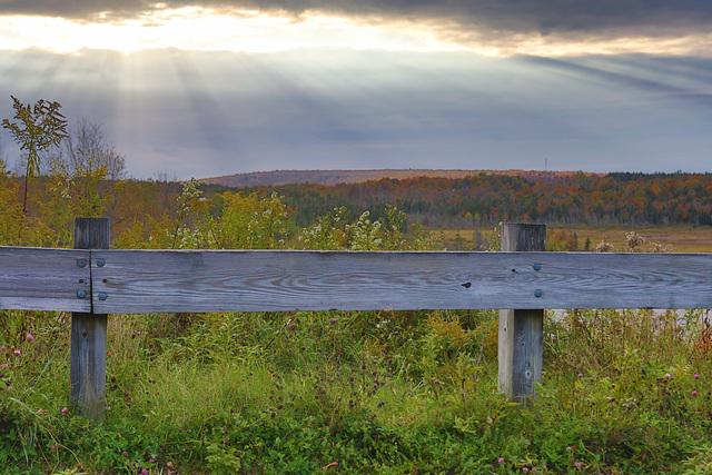 Burst of Fall