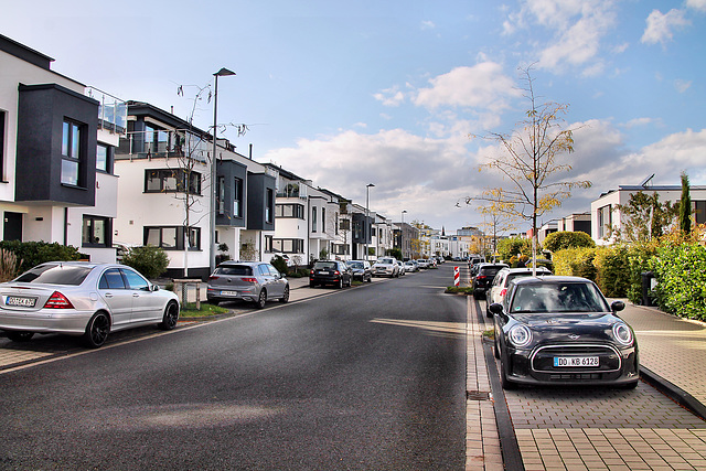 Phoenixseestraße (Dortmund-Hörde) / 21.10.2023