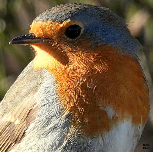 Regard en coin.. 3